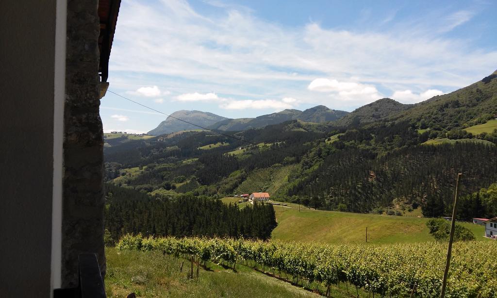 Agroturismo Erlete Goikoa -Estamos En El Camino De Santiago -We Are On The Camino De Santiago Deba Dış mekan fotoğraf